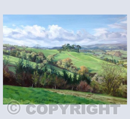 Welsh Border Landscape