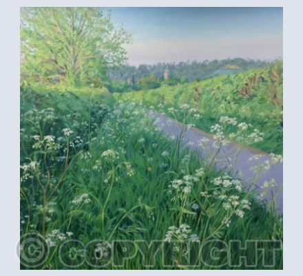 Spring Lane