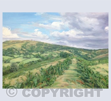 Brown Clee from Nordy Bank