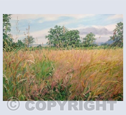 Meadow, Late Summer