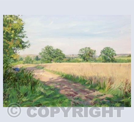 Cut Meadow
