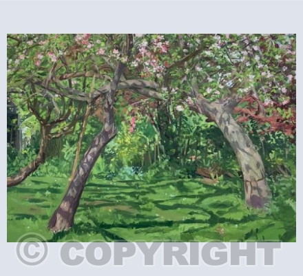 Apple Trees