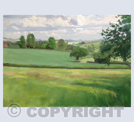 Summer Landscape 
