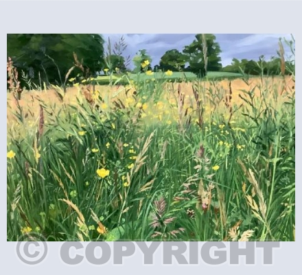 In the Meadow