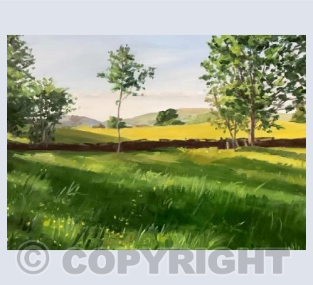 Evening at Birches Farm