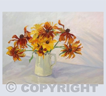 Rudbeckia 