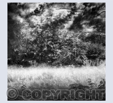 On Roundway Hill