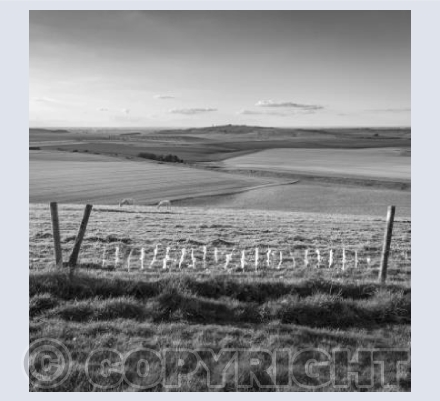From Tan Hill