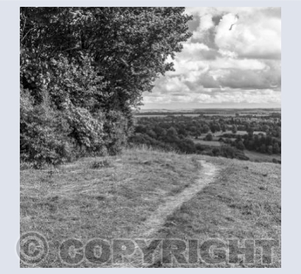 Footpath on Roundway Hill
