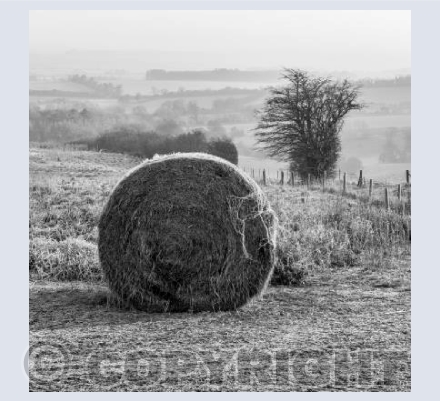 Near Tidcombe