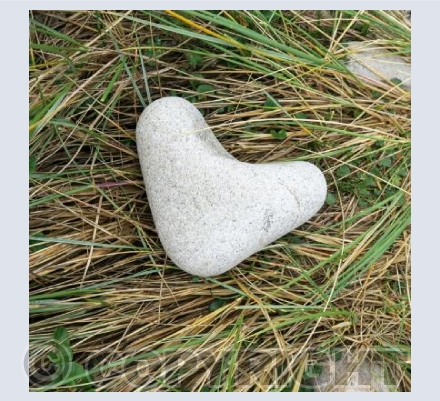 Hearts in Nature 2