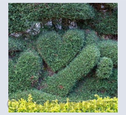 Hearts in Nature 3