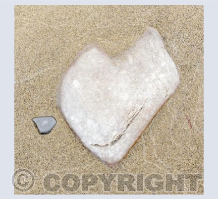 Hearts in Nature 4