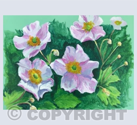 Japanese anemones