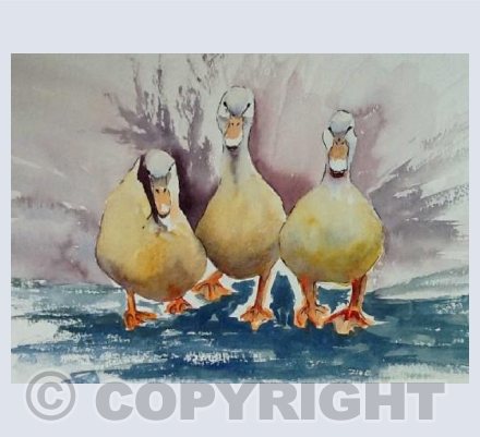 Three Little Ducks are we