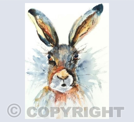 Henry the Hare