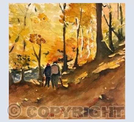 Walking in the woods