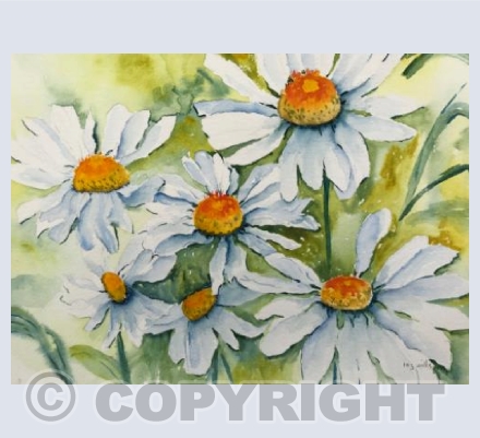 Six Daisies