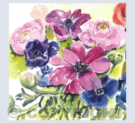 Anemones