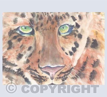 Leopard