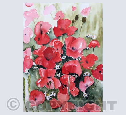 Poppies and Daisies