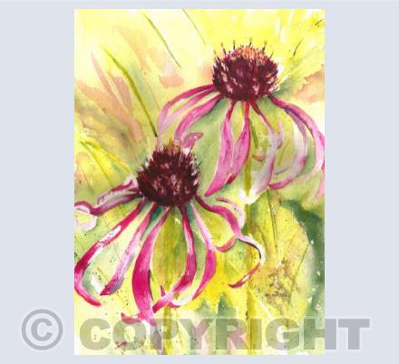 Dancing in the Breeze