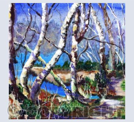 Birches at Gormire Lake