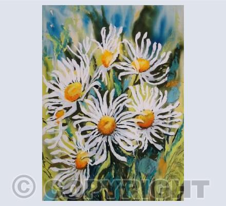 Ragged Daisies
