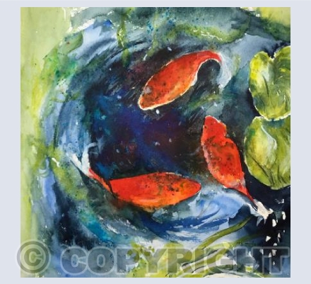 Goldfish in a pond