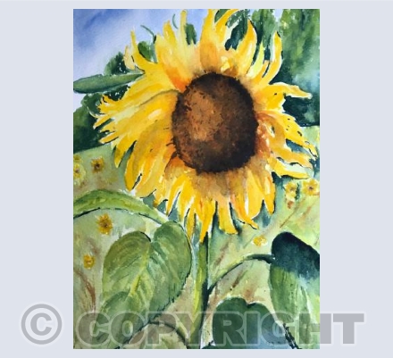Single Sunflower