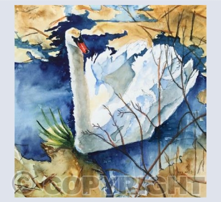 The Swan