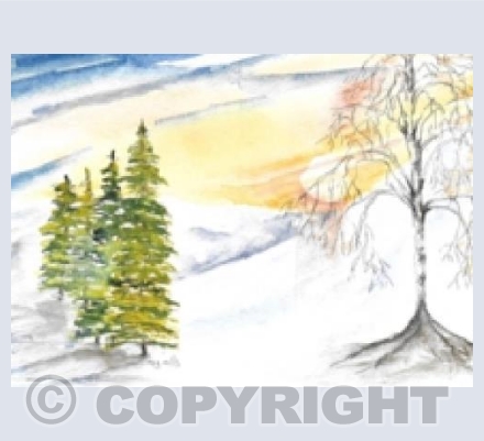 Snowy Trees