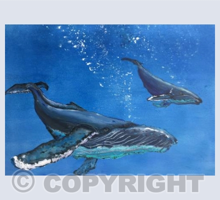 Humpback and Calf