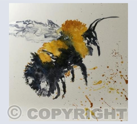 Bee