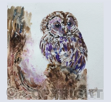 Owl A'Watching