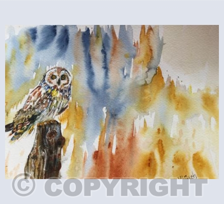 Owl A'Perched