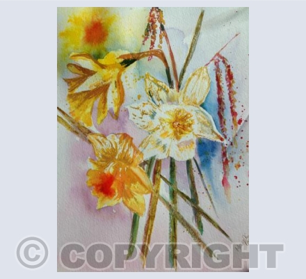 Spring Flowers