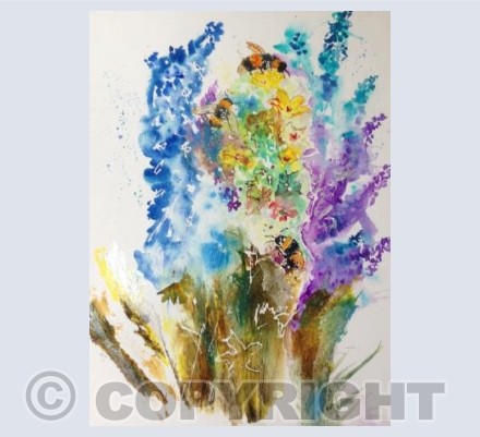 Delphiniums