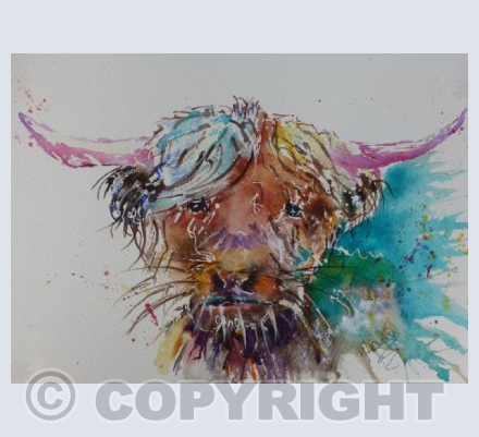 Shetland Cow Inspired by Jake Winkle 