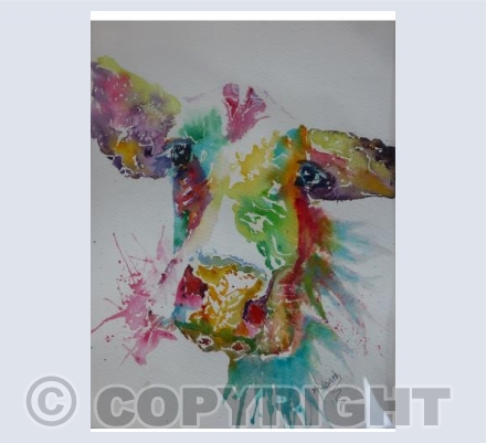 Moo