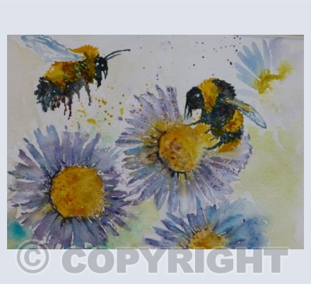 Bees feeding