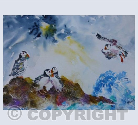 happy Puffins