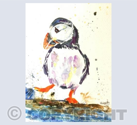Puffin - Splashing about!