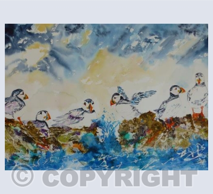 Puffin Family