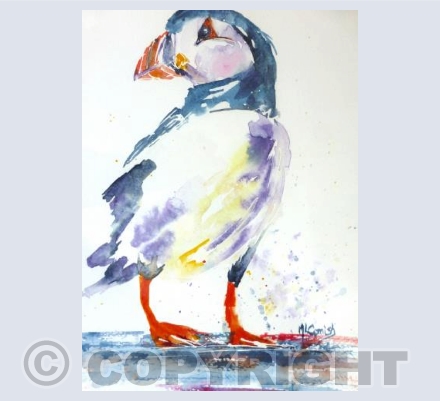 Puffin Joy