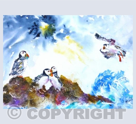 Puffin Love