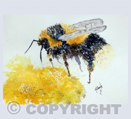 Bee at Home
