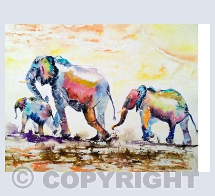 Elephant Family
