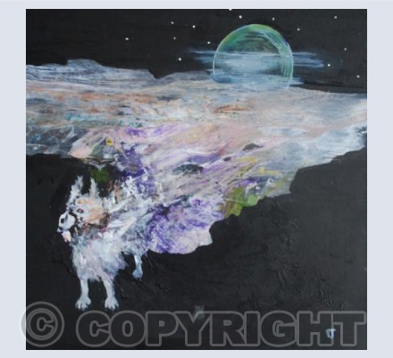 Moon dog