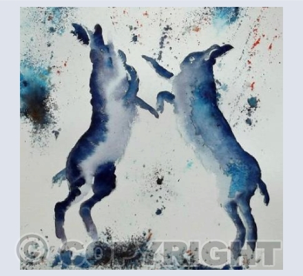blue hares